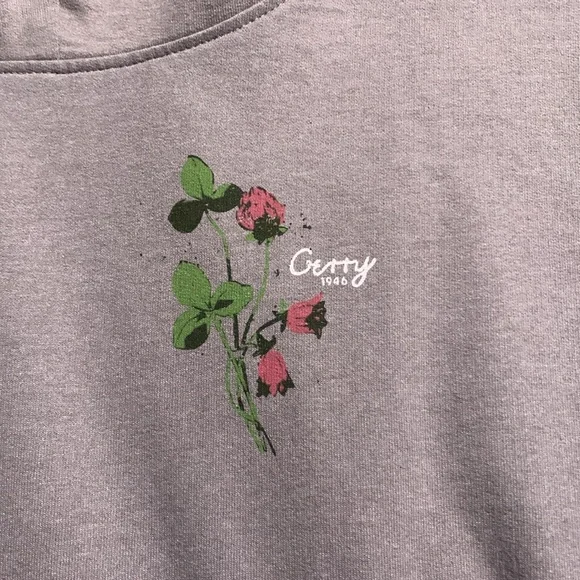 Grey hoodie - Picture 2 of 3